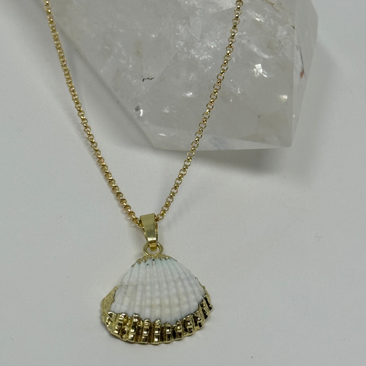 Collier Golden Sea Shell