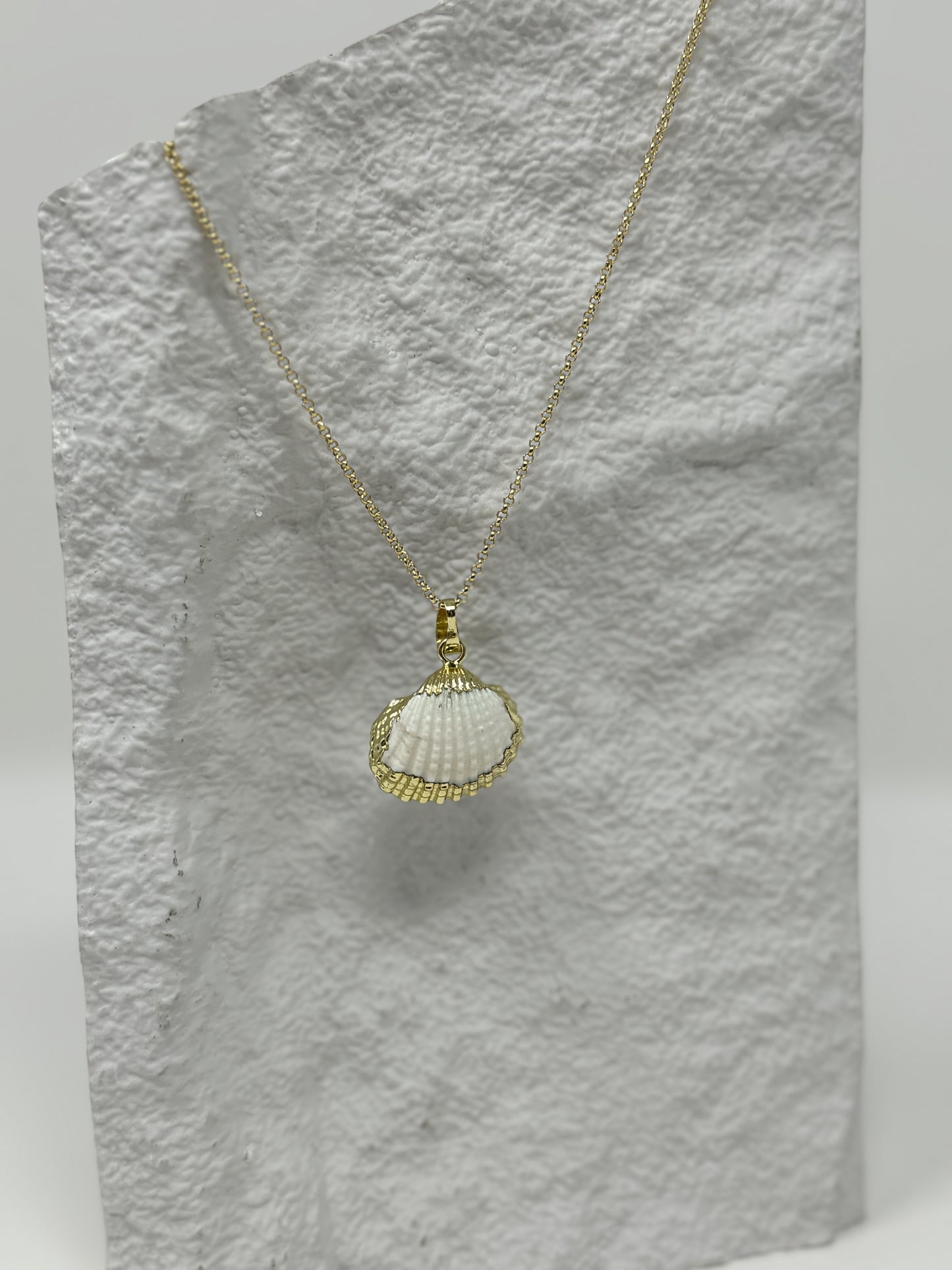 Collier Golden Sea Shell