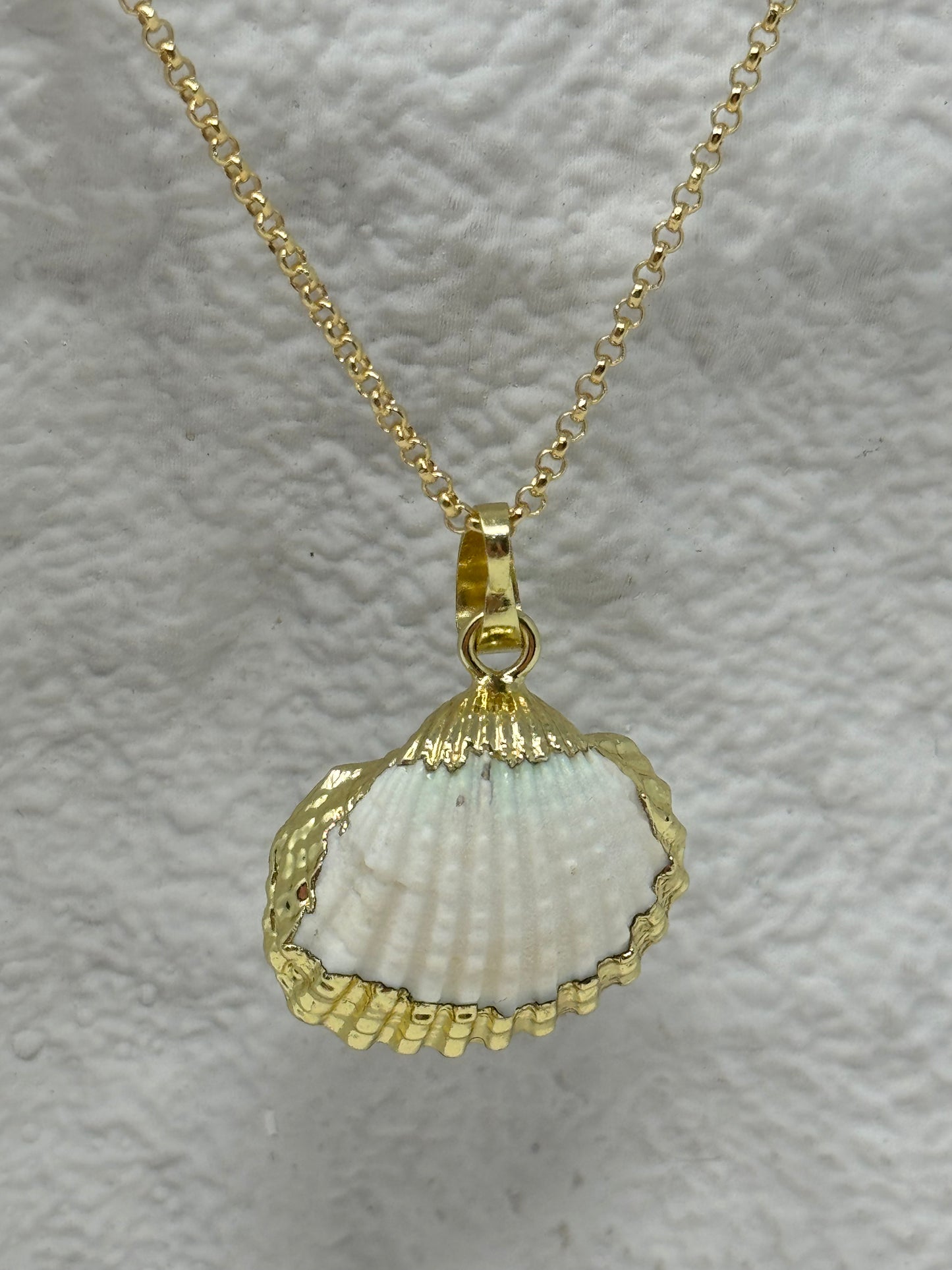 Collier Golden Sea Shell